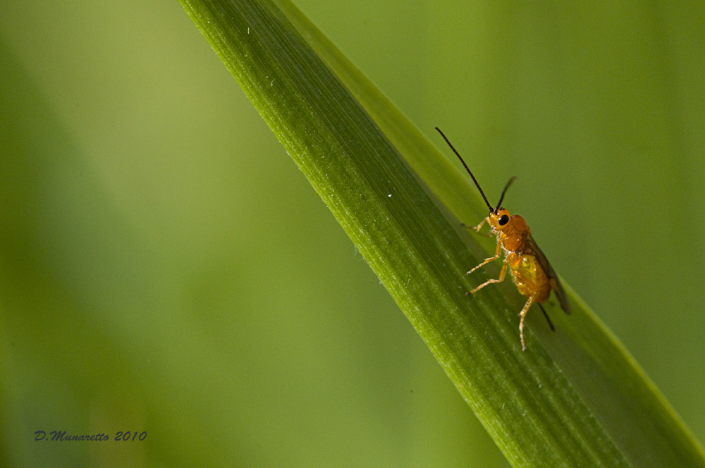 ...hai bisogno di qualcosa?